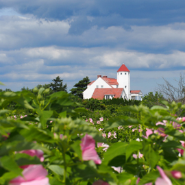 A red-roofed white house with pink mallows blooming in the forefront.